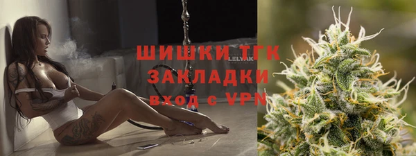 шишки Балахна
