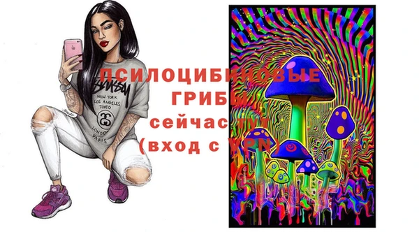 первитин Карпинск