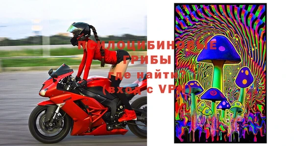 шишки Балахна