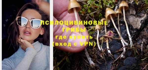 шишки Балахна