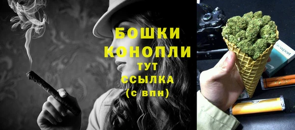 шишки Балахна