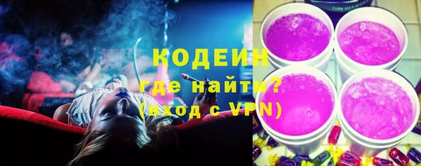 шишки Балахна